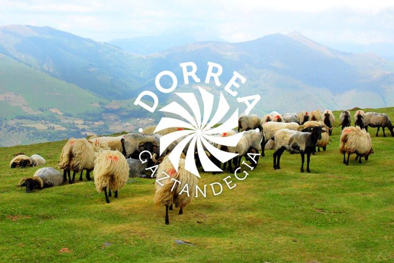 Logotip DORREA.