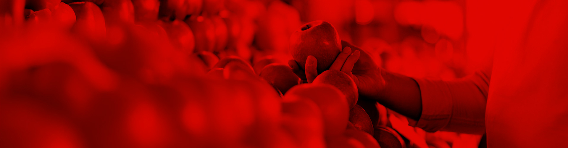 Mano seleccionando manzanas en la sección de fruta de un supermercado EROSKI con filtro rojo corporativo.