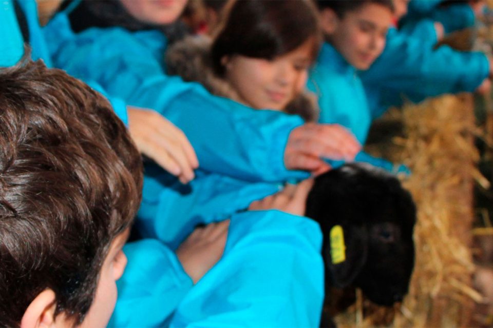 Mozos nunha actividade educativa que promove hábitos de vida saudables, promovida pola Fundación EROSKI.